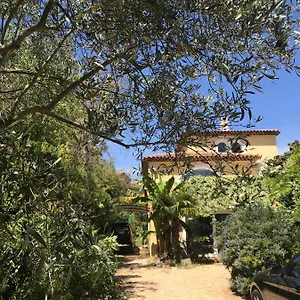 Ecrin De Verdure Avec Acces Piscine En Plein Aix France